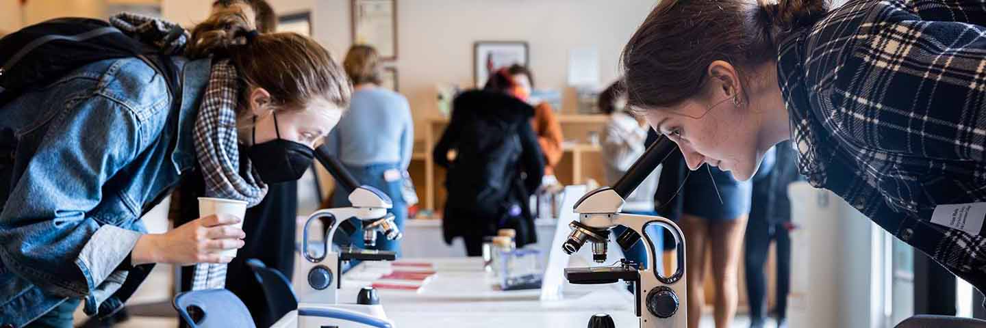 students looking at river specimens through microscopes